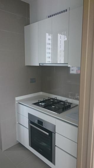 Skyline Residences (D4), Condominium #165201702